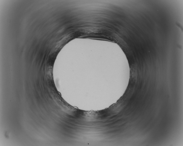 X0000099440141200806061053