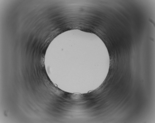 X0000099440142200806061053