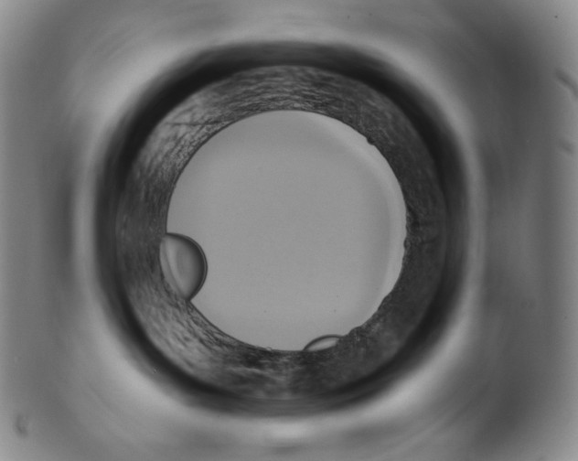 X0000099440143200806061053