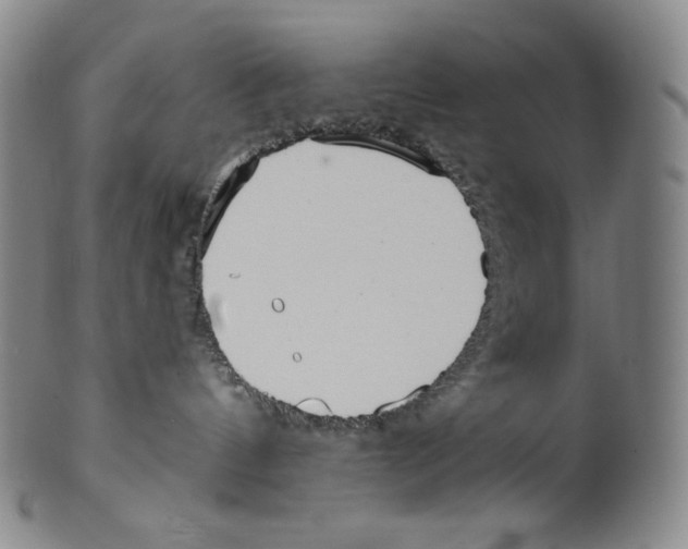 X0000099440144200806061053