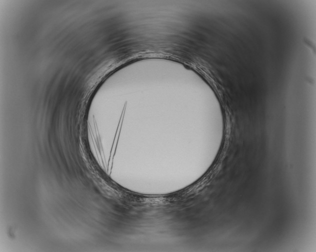 X0000099440145200806061052