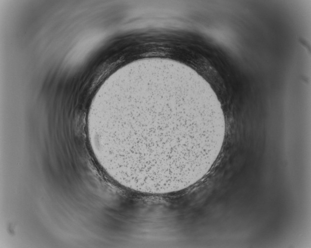 X0000099440146200806061052