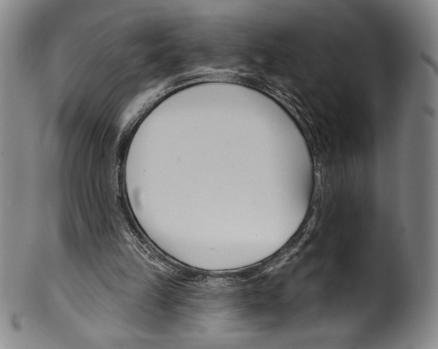 X0000099440149200806061052