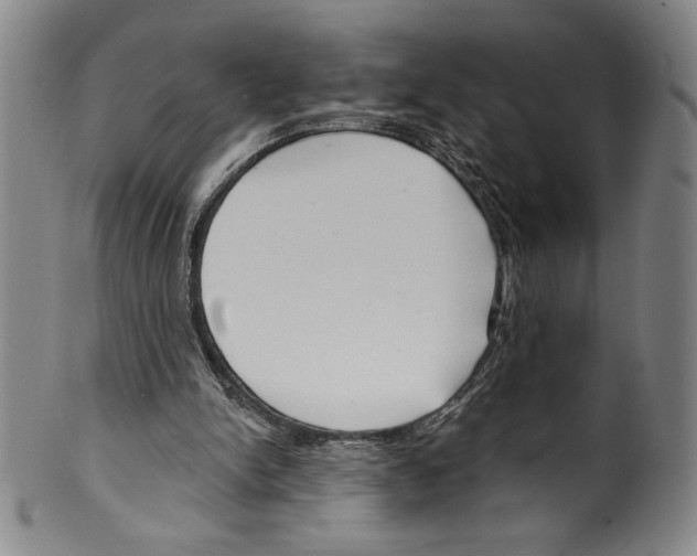 X0000099440150200806061052