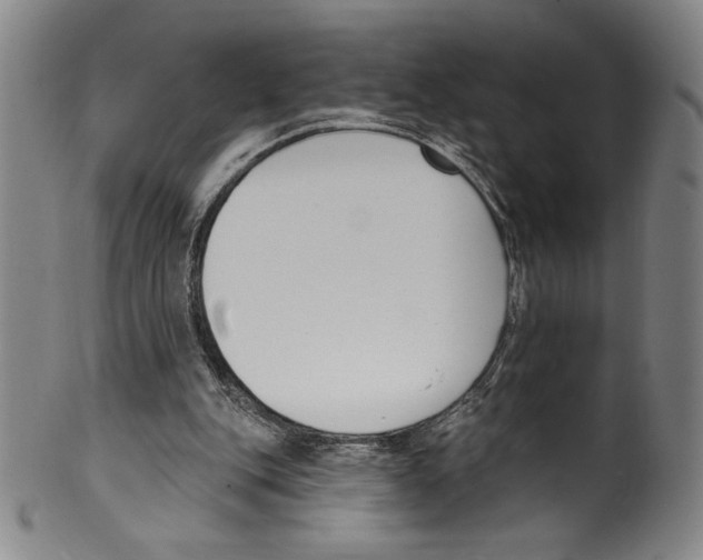 X0000099440151200806061052