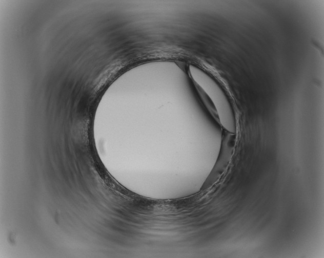 X0000099440154200806061052