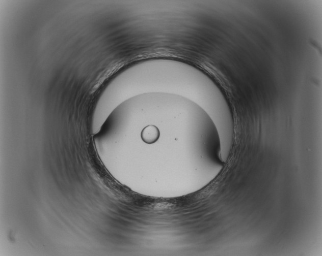 X0000099440158200806061052