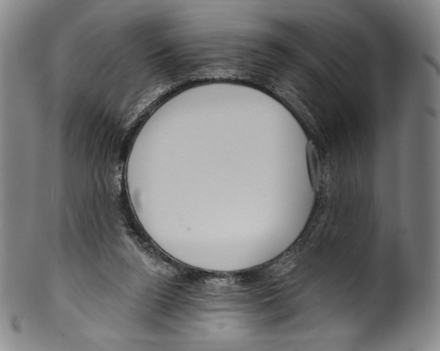 X0000099440160200806061052