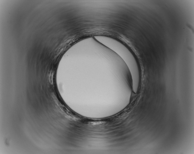 X0000099440161200806061052