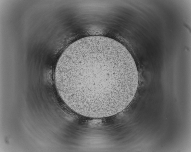 X0000099440162200806061052