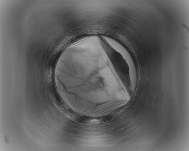 X0000099440163200806061052