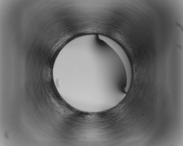 X0000099440164200806061052