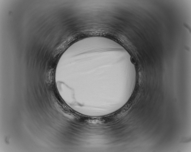 X0000099440165200806061052