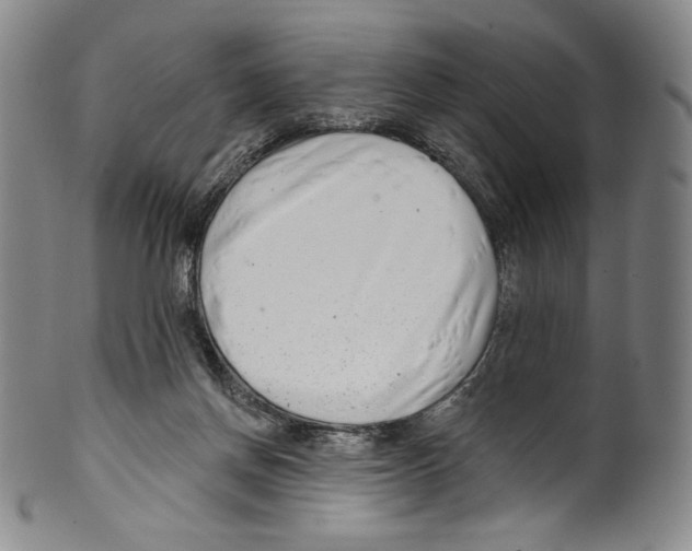 X0000099440166200806061052