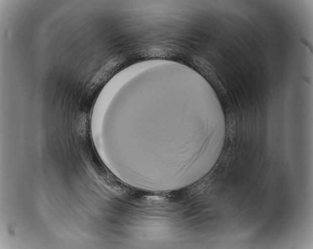 X0000099440167200806061052