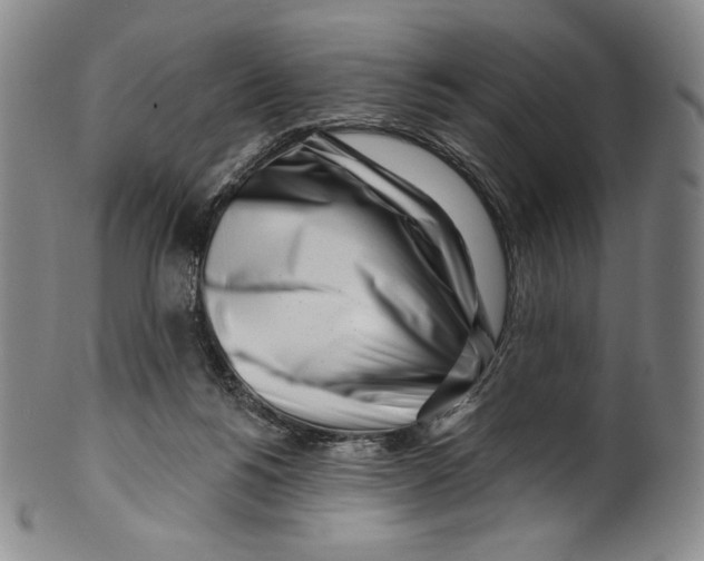 X0000099440168200806061052