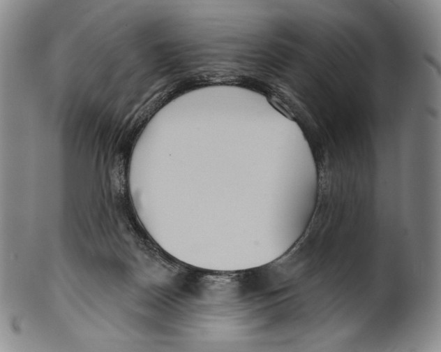 X0000099440170200806061053