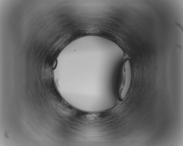 X0000099440172200806061053