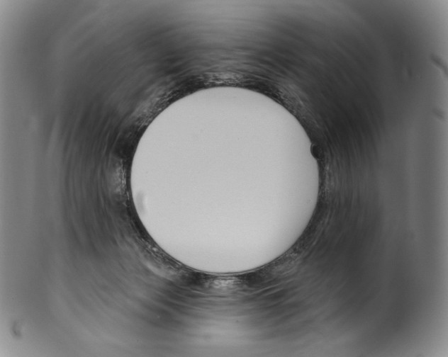 X0000099440173200806061053