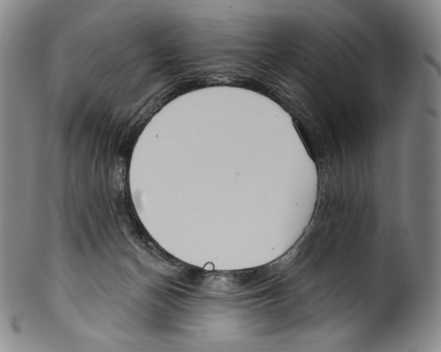 X0000099440174200806061053