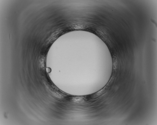 X0000099440175200806061053