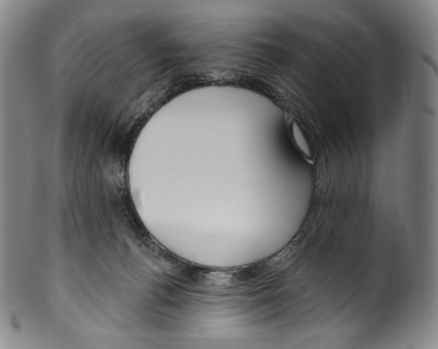 X0000099440176200806061053