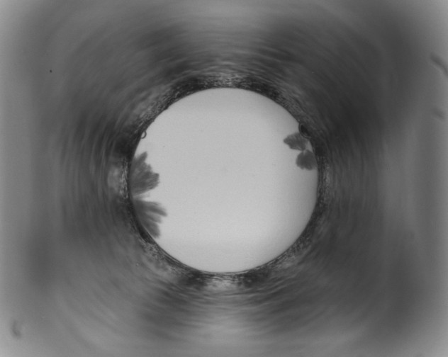 X0000099440177200806061053