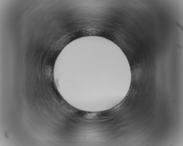 X0000099440178200806061053