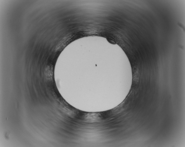 X0000099440179200806061053