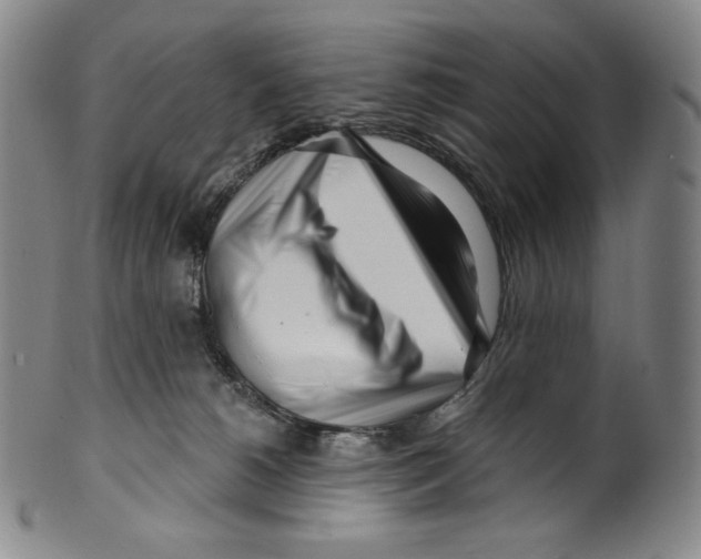 X0000099440180200806061053