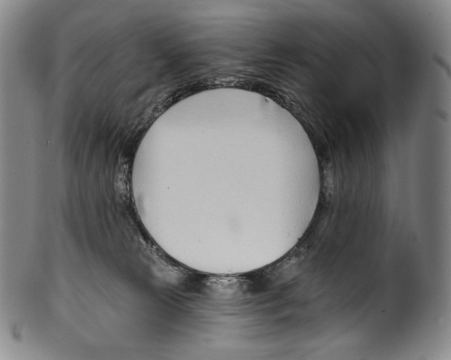 X0000099440181200806061053