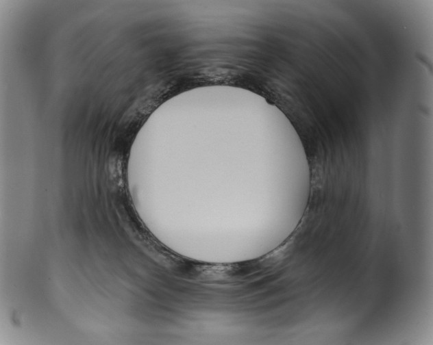 X0000099440182200806061053