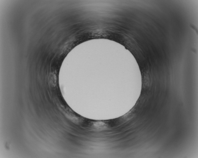 X0000099440183200806061053