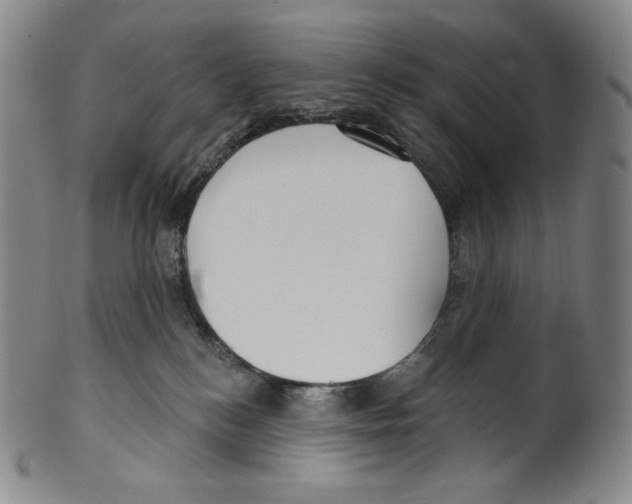 X0000099440184200806061053