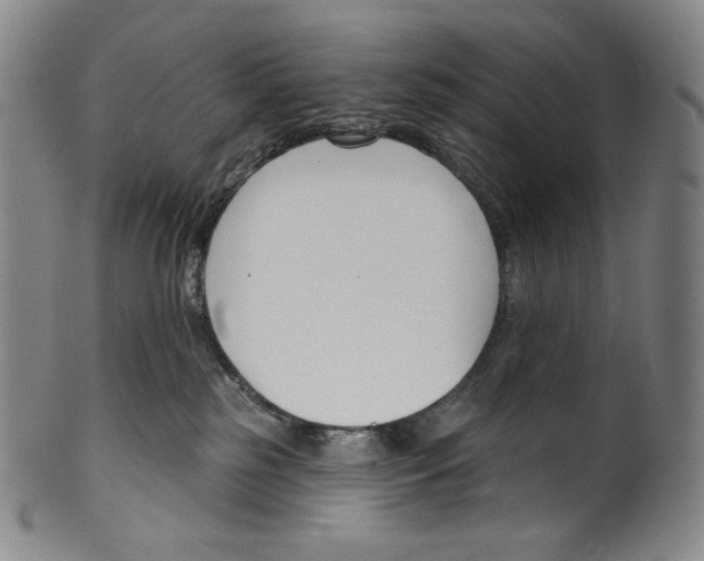 X0000099440185200806061053