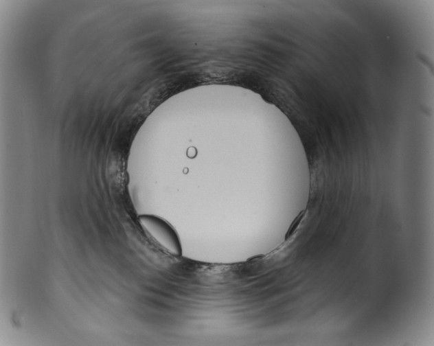 X0000099440186200806061053