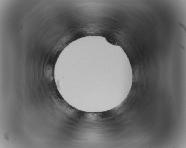 X0000099440187200806061053