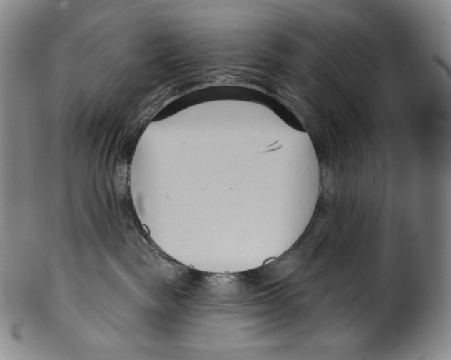 X0000099440189200806061053