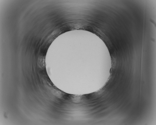 X0000099440191200806061053