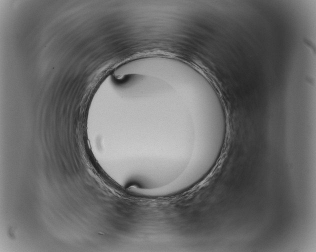 X0000099440193200806061052