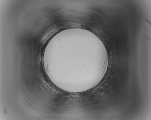 X0000099440194200806061052