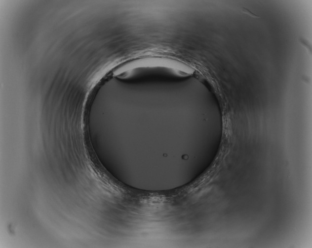 X0000099440196200806061052