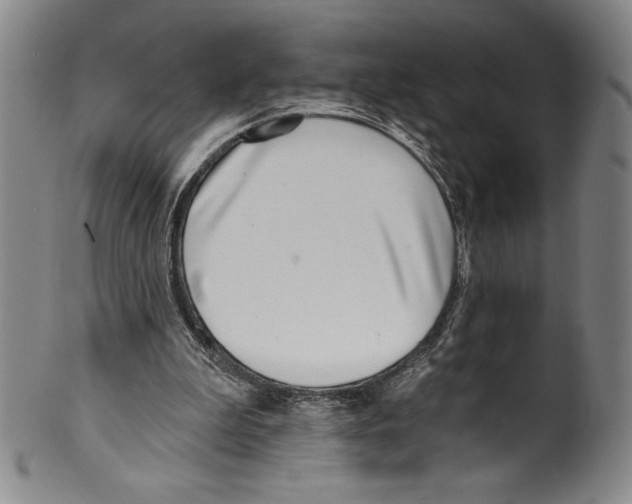 X0000099440199200806061052