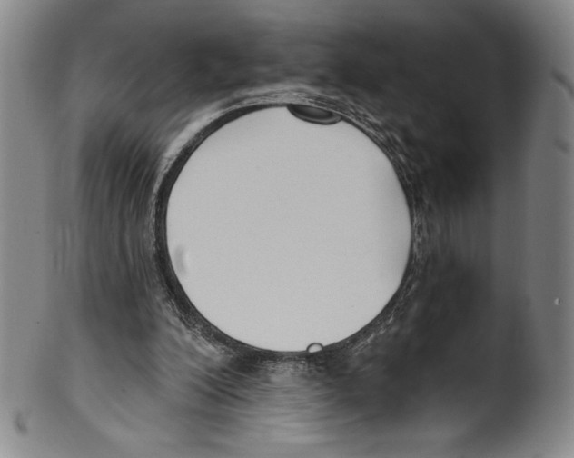 X0000099440200200806061052