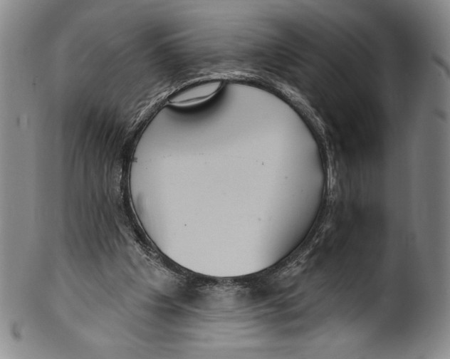 X0000099440201200806061052