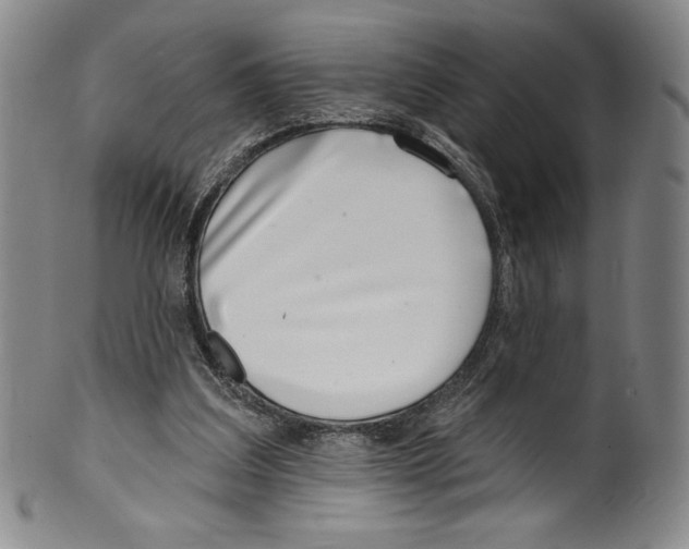 X0000099440203200806061052