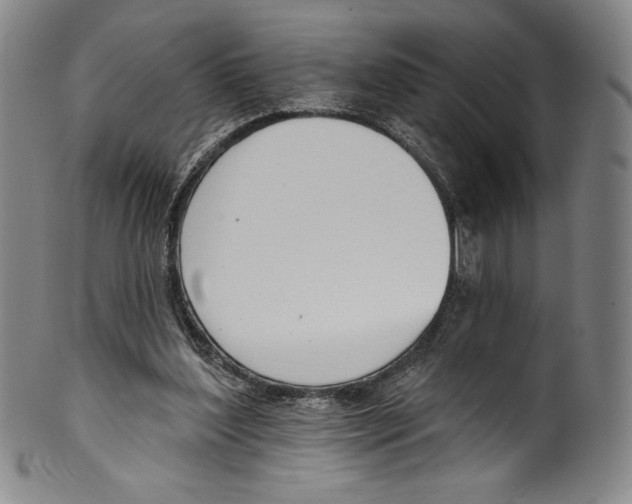 X0000099440204200806061052