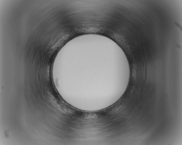 X0000099440206200806061052