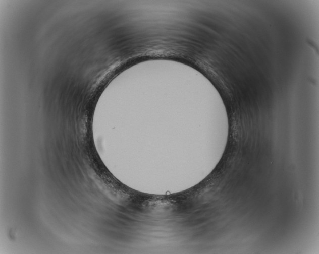 X0000099440208200806061052