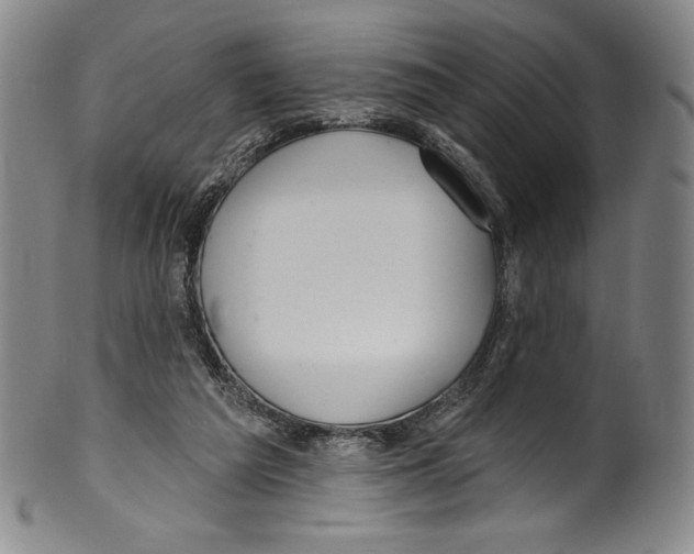 X0000099440209200806061052